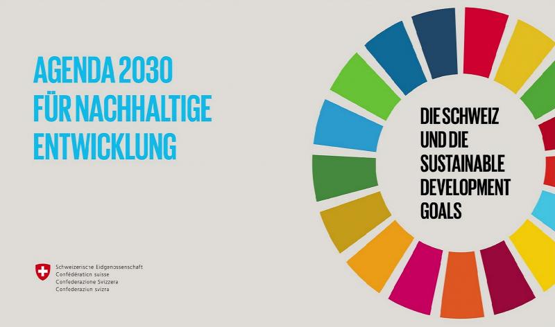 Die Neue Strategie Nachhaltige Entwicklung Des Staatsrats Mit Der ...